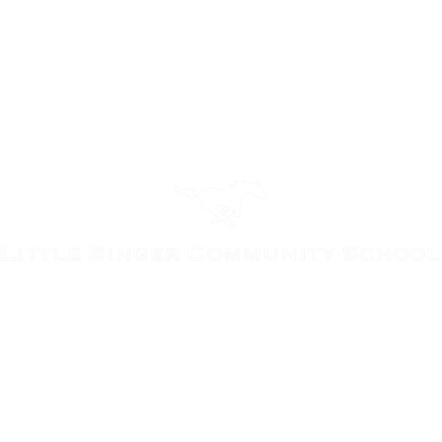 Little Singer