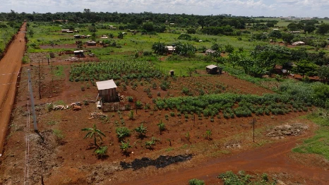 Brazil Matto Grosso P1_1.14.1 2