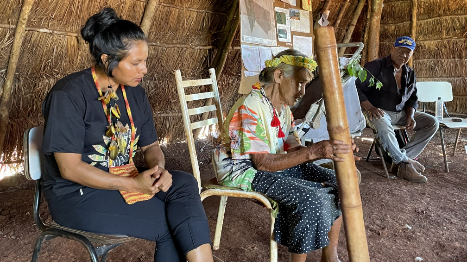 UFGD Indigenous University 7
