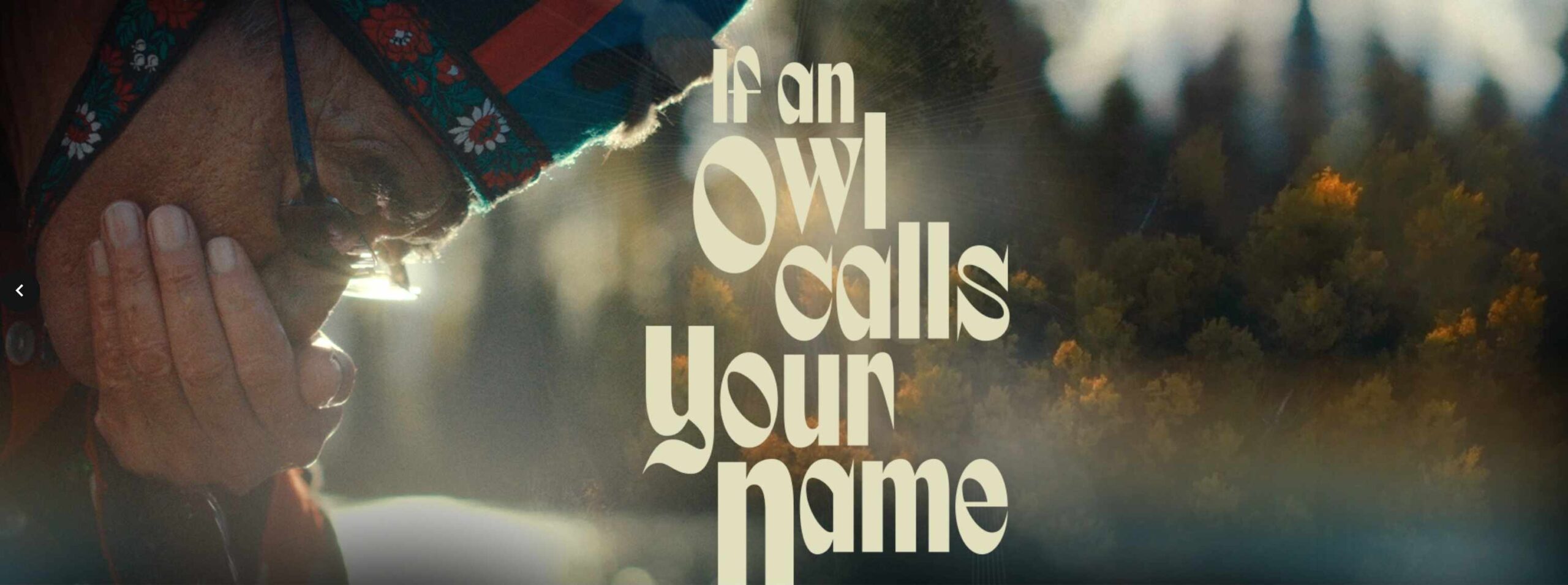 the-eternal-song-owl-chief