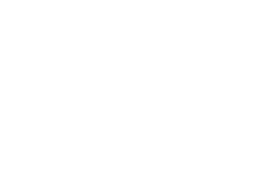 the-eternal-song-owl-twin-cities-laurel