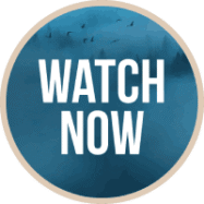 watch-now-circle