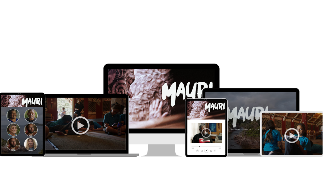 Mauri_product_stack_full